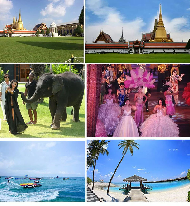 宅男在线免费网站宅男视频免费下载品牌 宅男在线免费网站宅男视频免费下载品牌