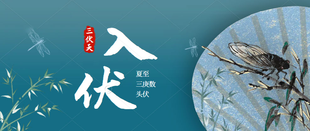 宅男在线免费网站宅男视频免费下载助您三伏天也能從容“夏”廚！