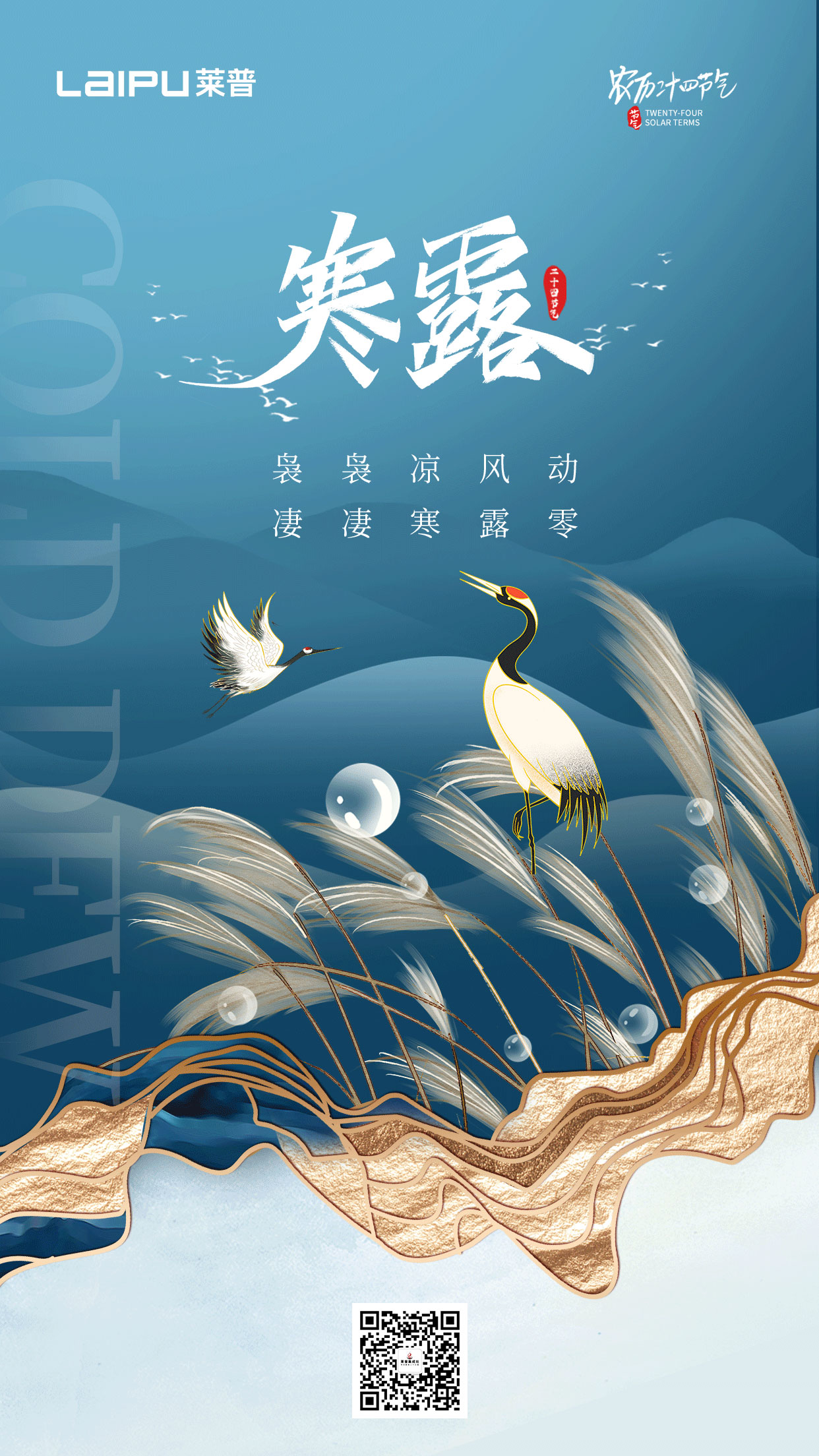 深秋漸至，寒露滿枝